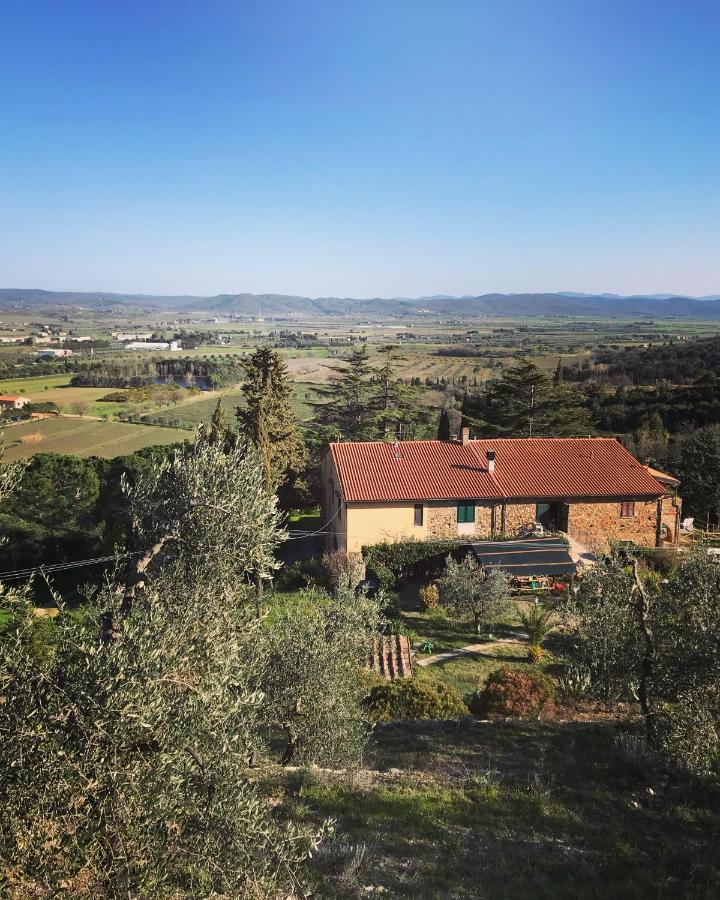 Podere Baloo Suvereto Exterior photo